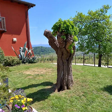 Le Badie Wine