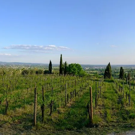 Le Badie Wine Hotel