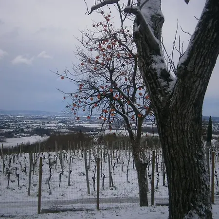 Le Badie Wine Hotel Rosazzo