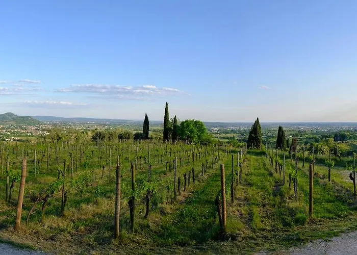 Le Badie Wine Hotell